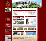 网站建设案例-锦绣房地产集团